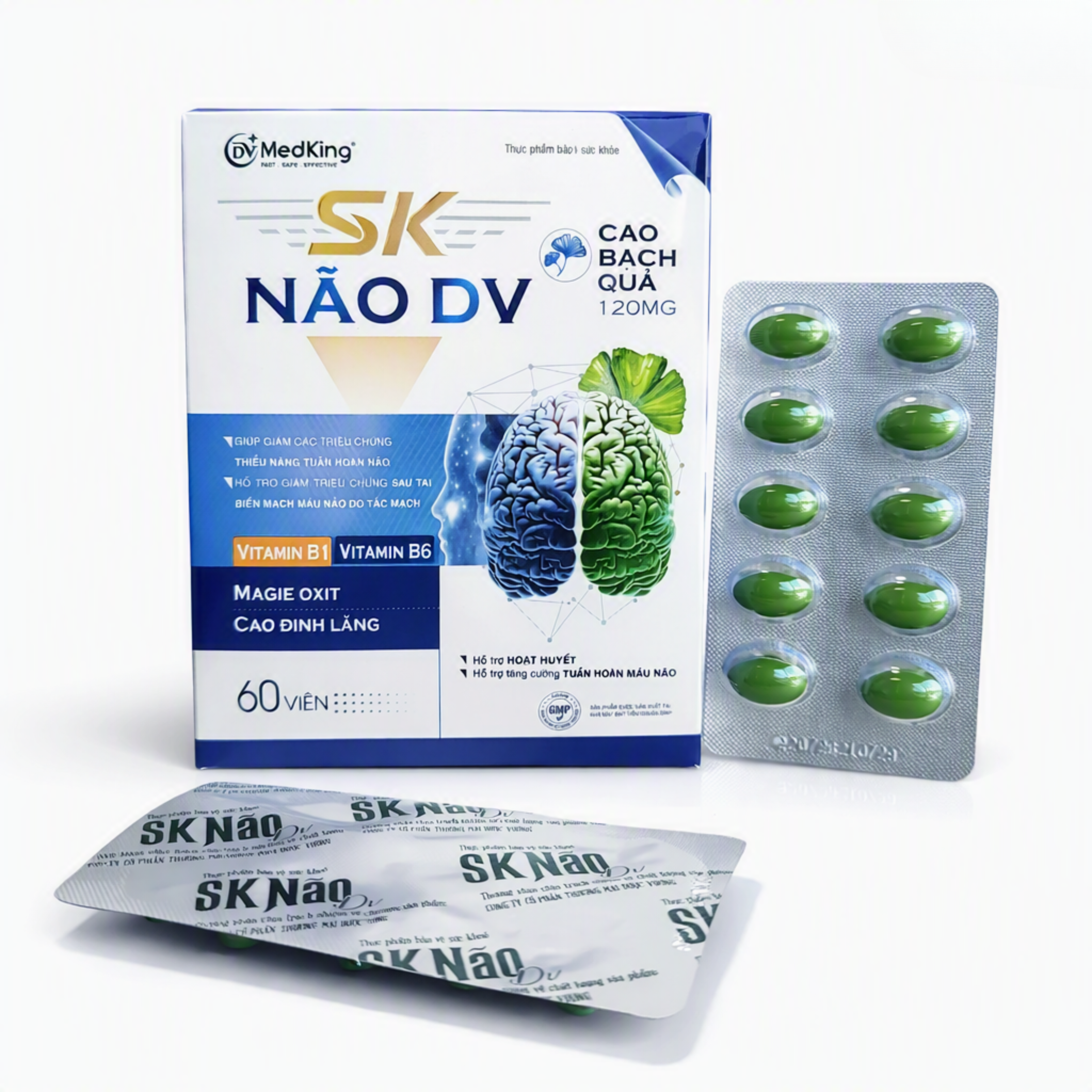SK Não DV Gingko 120mg hộp 6 vỉ x 10 viên nang Dược Vương